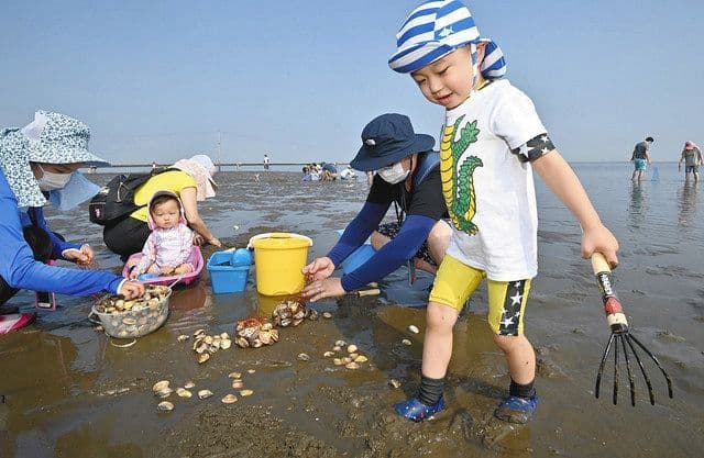Đi Cào Ngao Gần Tokyo: Địa Điểm, Mùa, Giá & Cách Làm (Shiohigari)